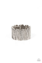Load image into Gallery viewer, Cabo Canopy - Silver